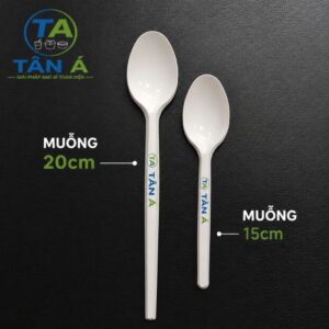 Muỗng Nhựa